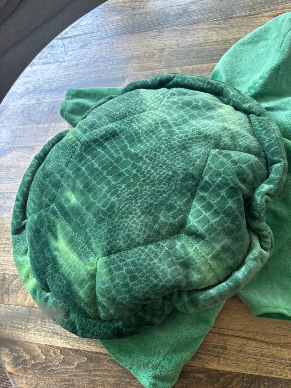 Infant Plush Turtle Halloween Costume size 6-9 mos